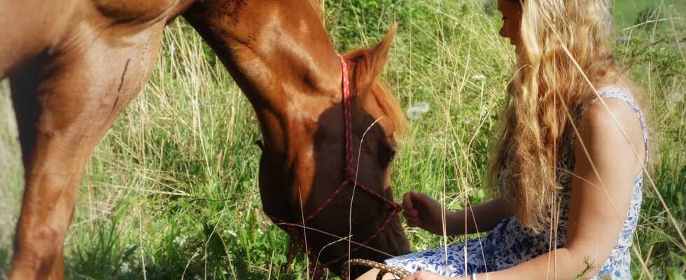Mit Tieren sprechen lernen - Grundkurs Tierkommunikation