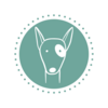 Hundetraining ANDEVE.DOG