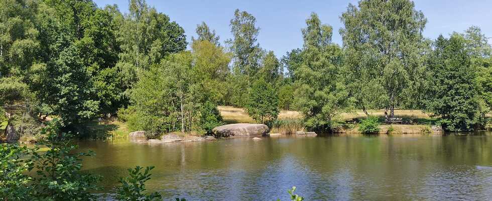 Sanftes Yoga und Yin Yoga für Frauen jeden Alters
