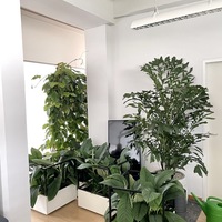 Gallery Foto