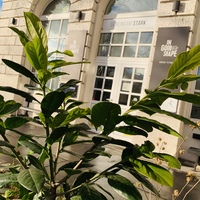 Gallery Foto