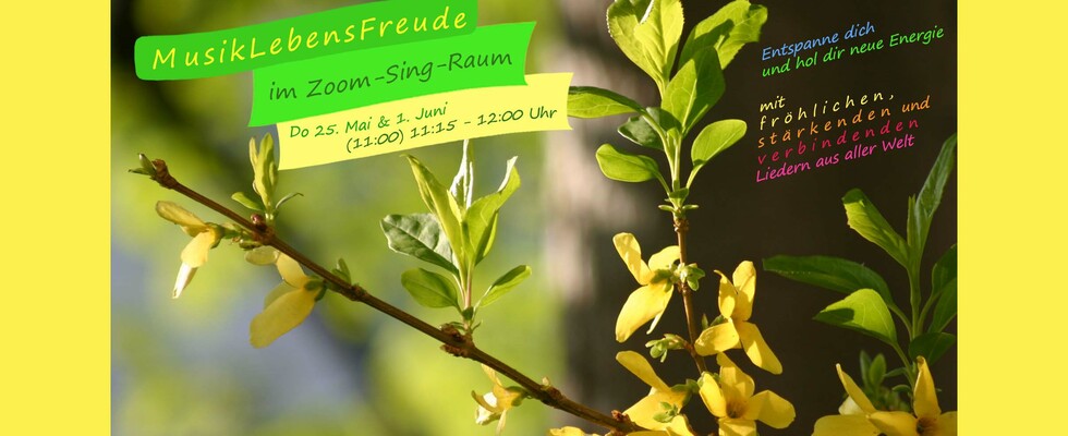 FERN-SING-RUNDE mit MusikLebensFreude