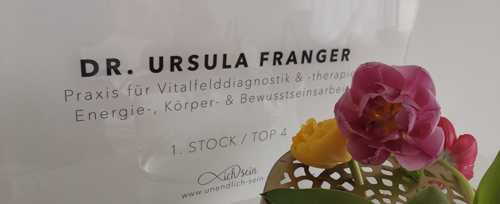 Vitalfeldtechnologie, Energie-, Körper- & Bewusstseinsarbeit