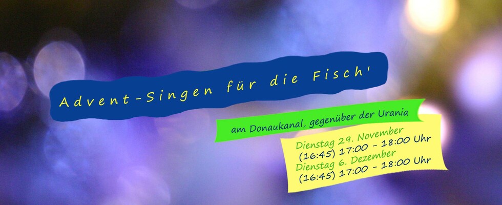 ADVENTSINGEN FÜR DIE FISCH'