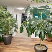 Gallery Foto