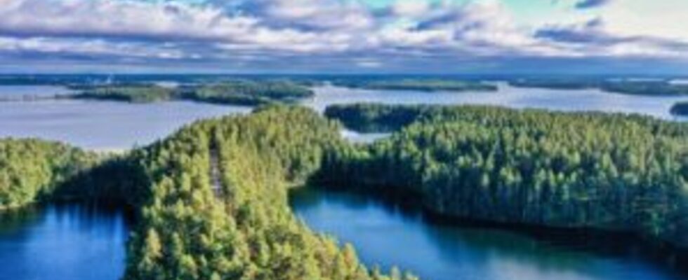 Business Coach / Startup Beratung