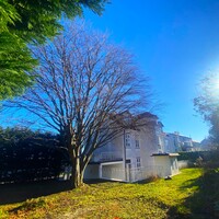 Gallery Foto