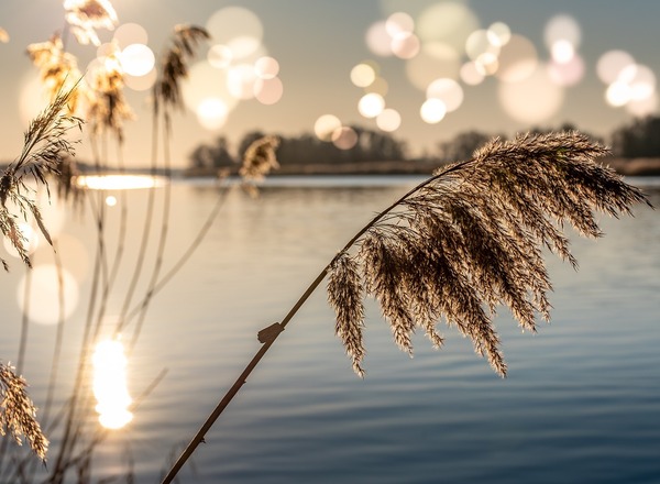 10 % im Februar – Zeit für innere Balance