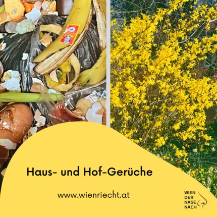 Wien der Nase nach. – Foto 8