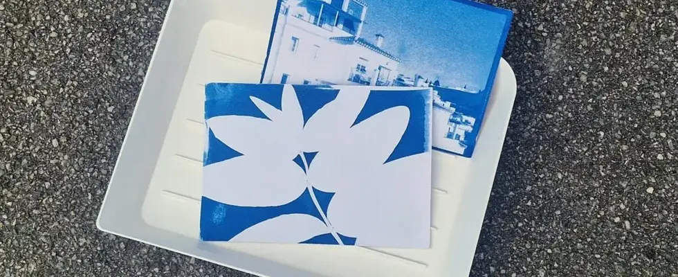 Prints mit der Sonne - Cyanotypie für Jung & Alt