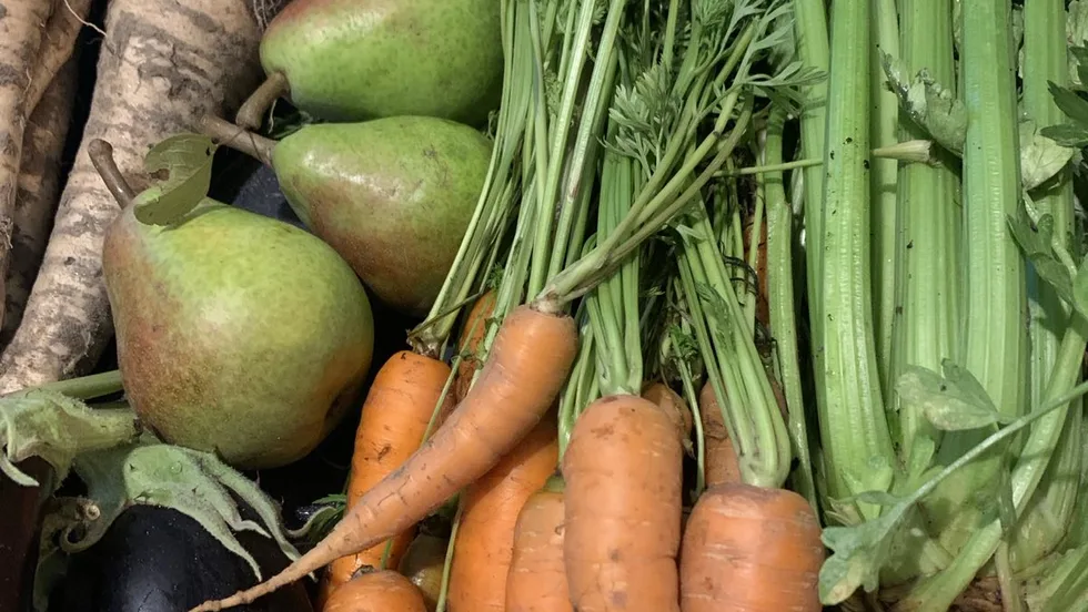 AgriFood&Flower Workshops @Kleine Stadtfarm – Foto 1