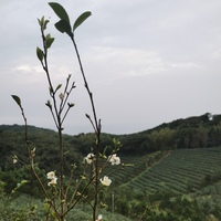 Gallery Foto