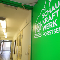 Gallery Foto