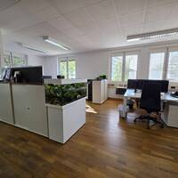 Gallery Foto