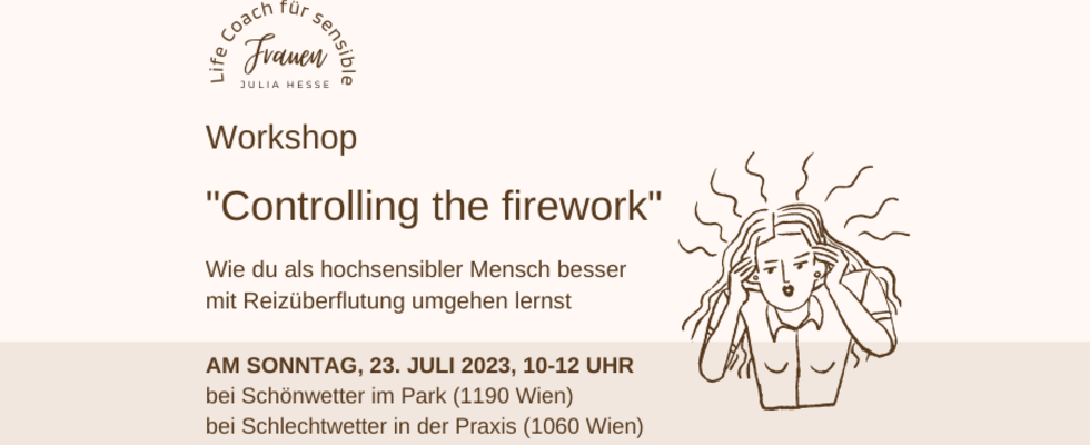 Workshop "Controlling the firework - Umgang mit Reizüberflutung"
