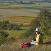 Selbständiger Biologie sucht Raum für Dauermiete