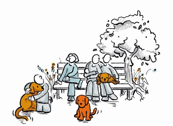 Project Canis - Tiergestütztes Coaching für Kinder und Jugendliche