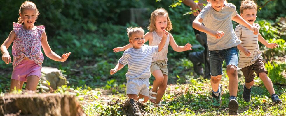 Nimmerland Outdoor Park 