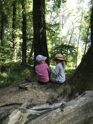 Waldkindergarten Engerwitzdorf – Foto 2
