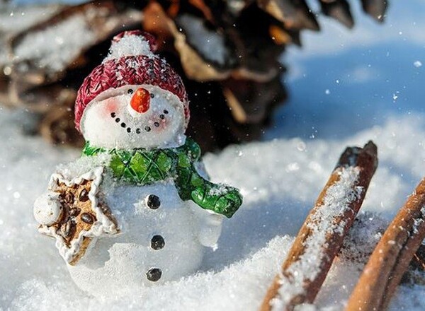Spielgeschichte - Schneemanns Winterreise