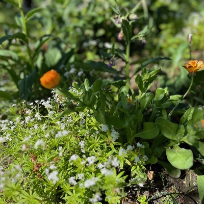 #<CrowdReward:0x00007f28a4880dc8>