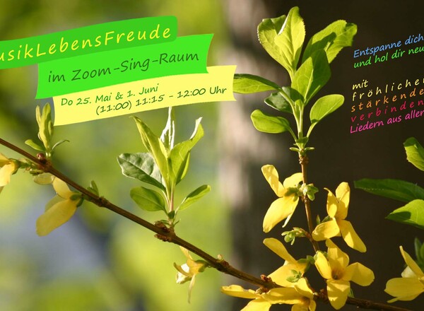 FERN-SING-RUNDE mit MusikLebensFreude
