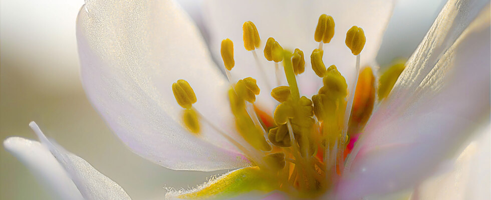 Ich achte gut auf mich! Selbstfürsorge in stressigen Zeiten