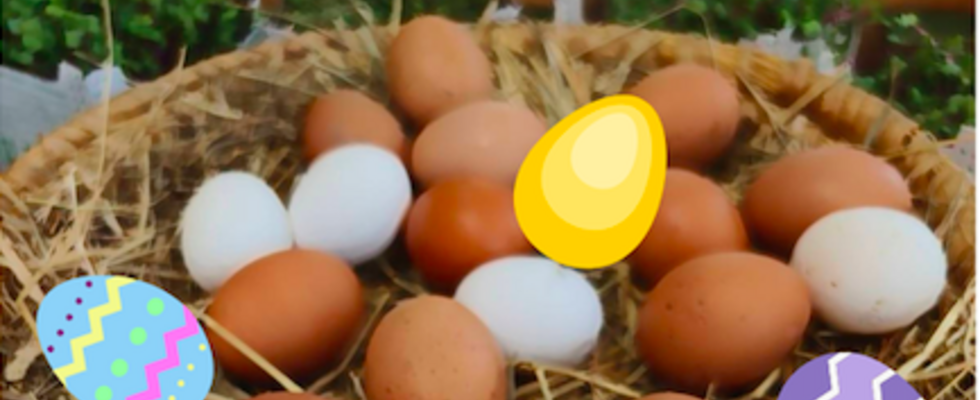 Große Oster-Rallye für Familien