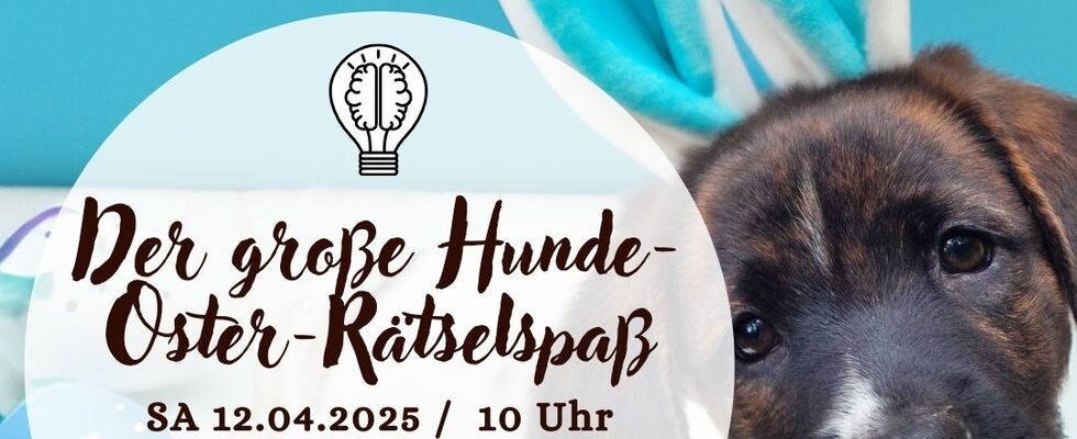 Der große Hunde-Oster-Rätselspaß! 🐶🐰🌷
