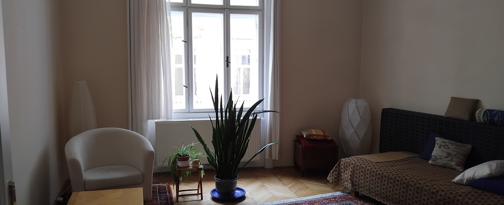 Schönen möblierten Praxisraum 1 – 2 Tage/Woche in 1020 Wien