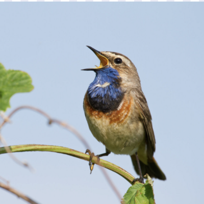 #<CrowdReward:0x00007f28a4881048>