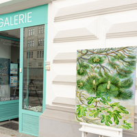 Gallery Foto