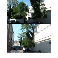 Gallery Foto