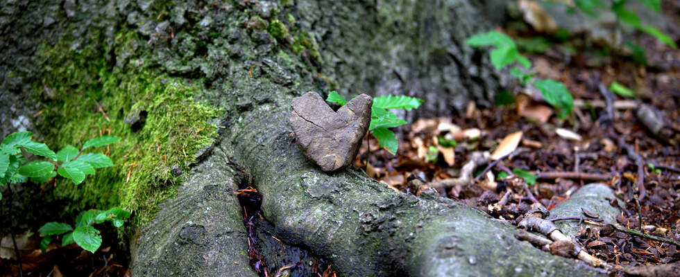 Baum & Herz im Prater
