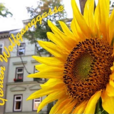 Verein Garten Wolfganggasse