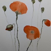 Gallery Foto