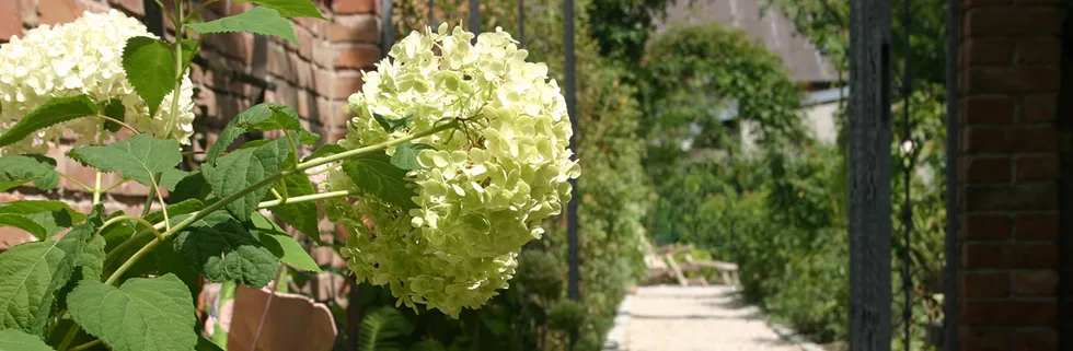 Pflanzplan Gartengestaltung – Foto 1
