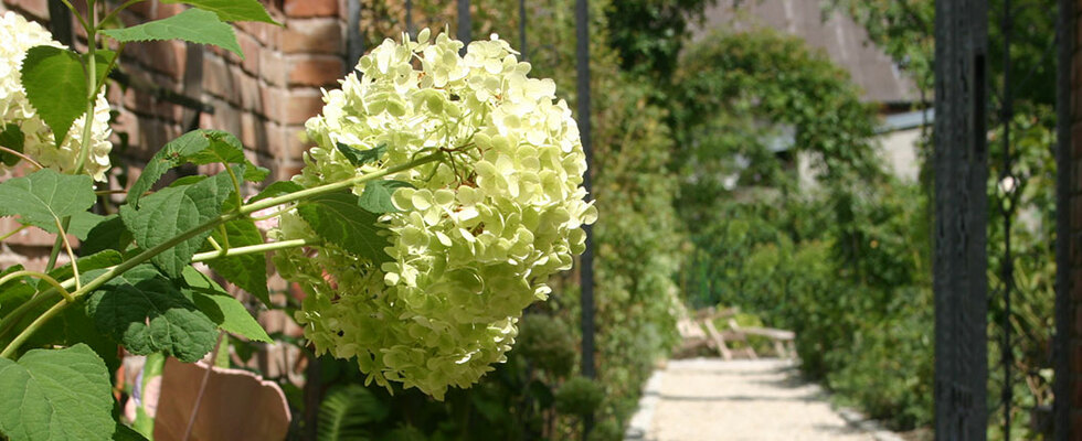 Pflanzplan Gartengestaltung