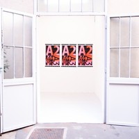 Gallery Foto