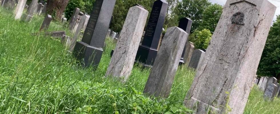 Kräuterspaziergang am Wiener Zentralfriedhof