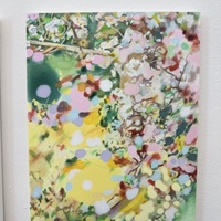 Gallery Foto