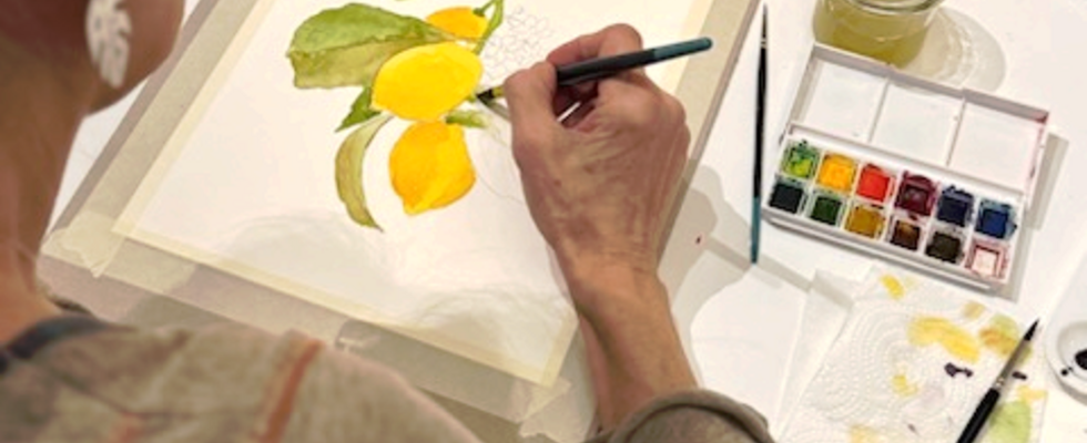 Natur-Illustrationen Fortgeschritten