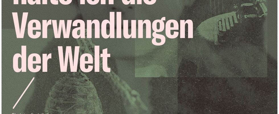 An Stelle von Heimat halte ich die Verwandlungen der Welt - Ein interdisziplinärer Theaterabend über und mit Texten von Nelly Sachs - Uraufführung / Eigenproduktion