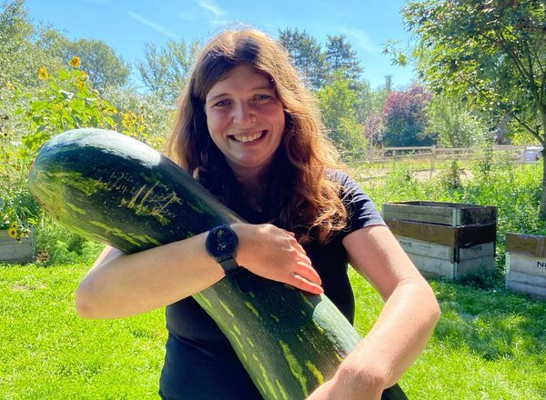 Mein Gemüsejahr - 4teilige Workshopreihe rund ums Gemüse-Gartln!