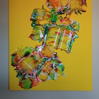 Gallery Foto