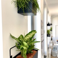 Gallery Foto