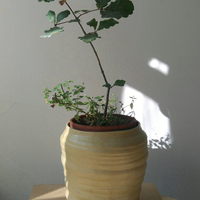 Gallery Foto