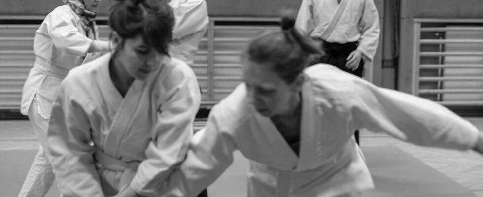 Aikido Yuyashinkai