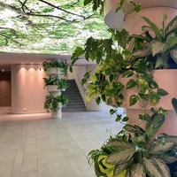 Gallery Foto