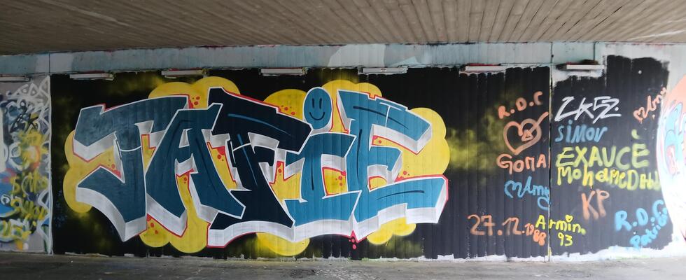 TAFIE - Tiroler Arbeitskreis für Inklusive Entwicklung